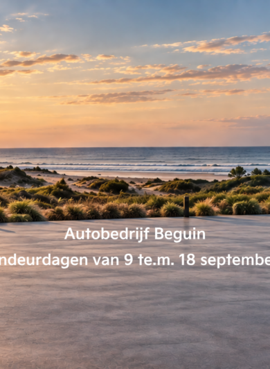 Korte video's voor Beguin op social media en digitale DOOH-schermen